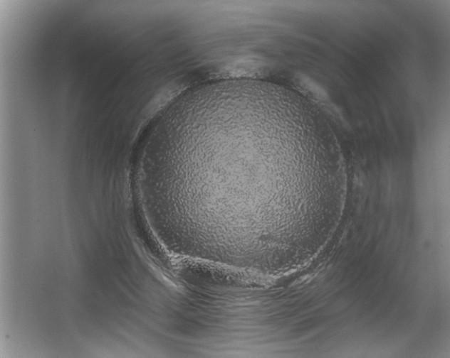 X0000067900250200604131402