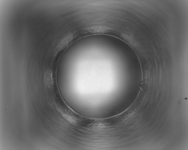 X0000067900254200604131402