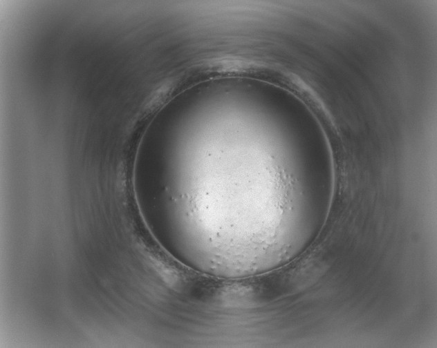 X0000067900257200604131402