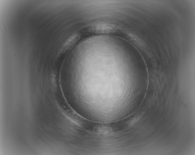 X0000067900258200604131402