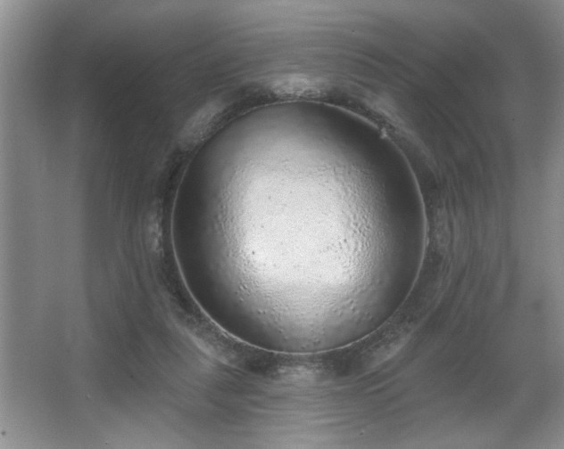 X0000067900259200604131402