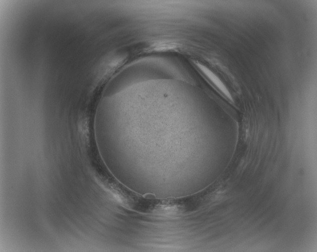 X0000067900260200604131402