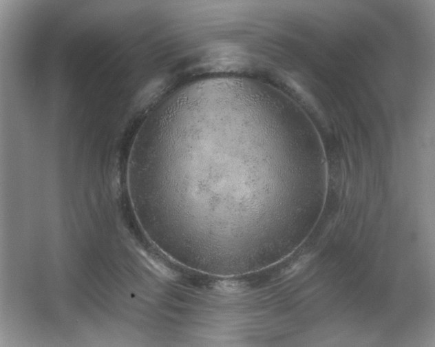 X0000067900261200604131402