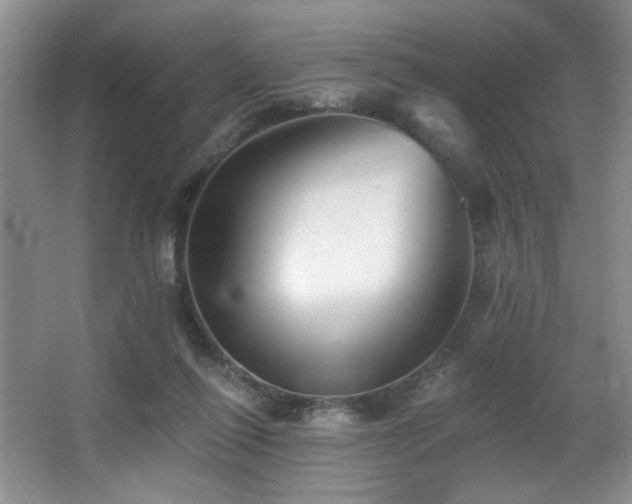 X0000067900262200604131402