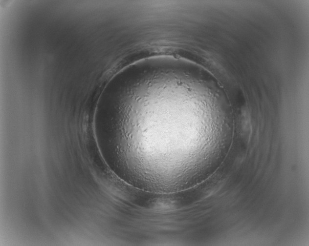 X0000067900263200604131402