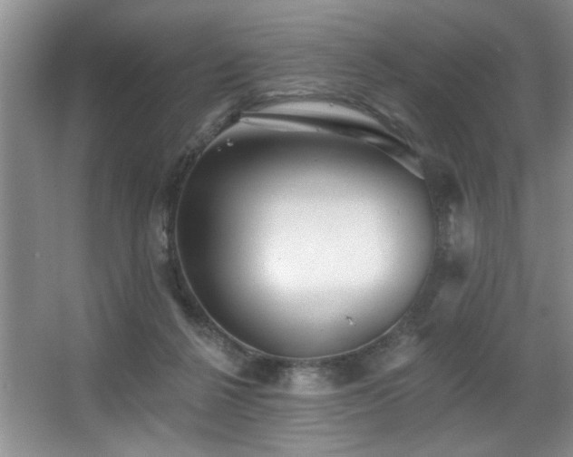 X0000067900264200604131402