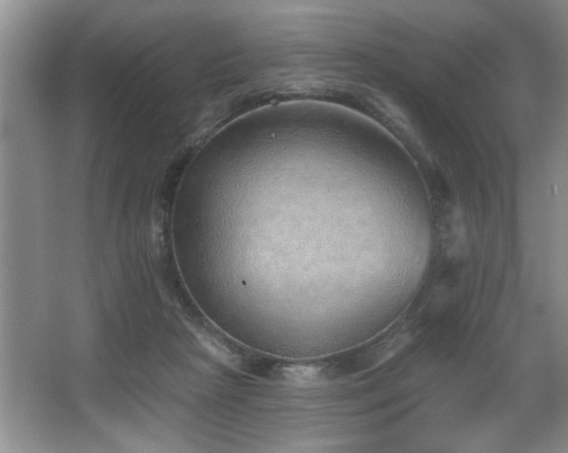 X0000067900265200604131402