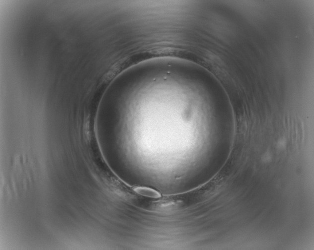 X0000067900267200604131402