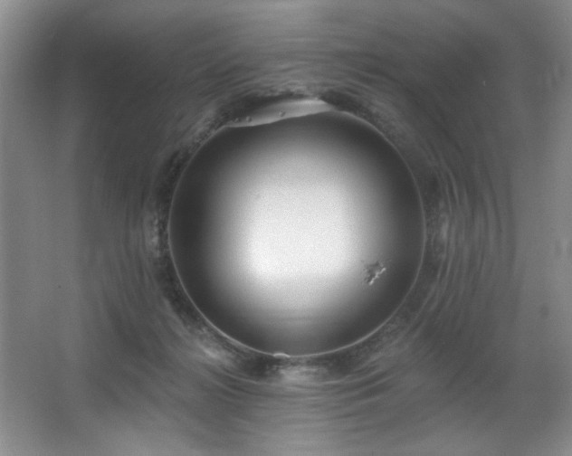 X0000067900268200604131402