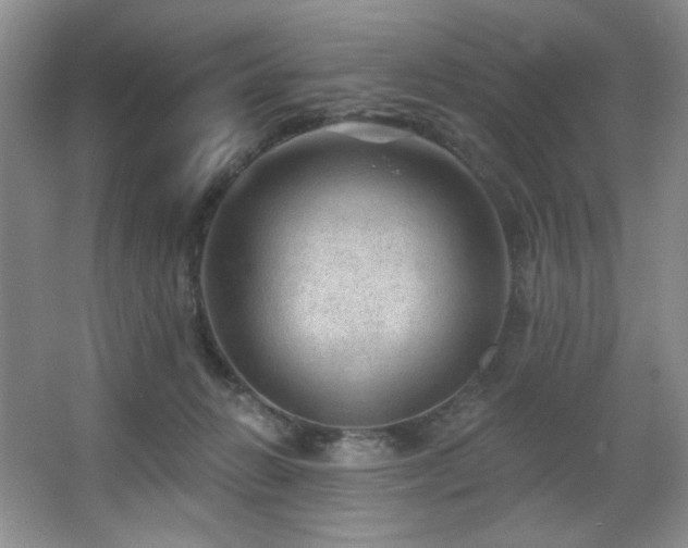 X0000067900270200604131402