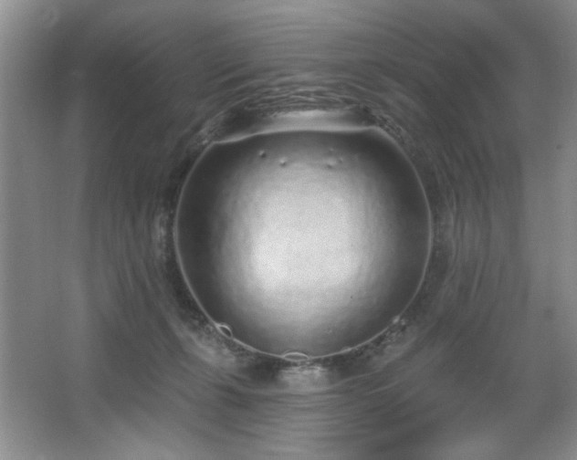 X0000067900271200604131402