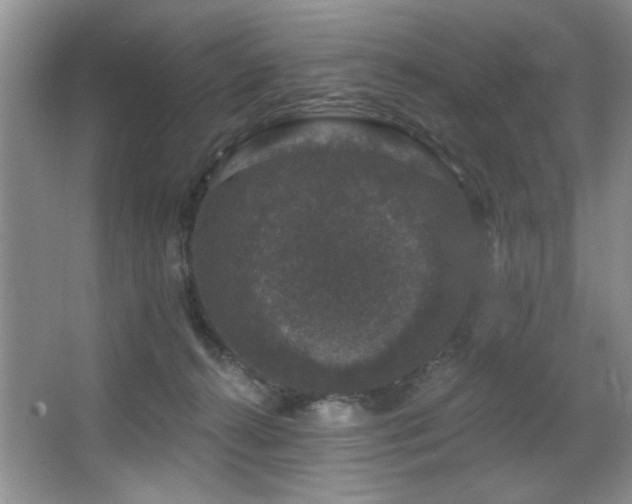 X0000067900272200604131402