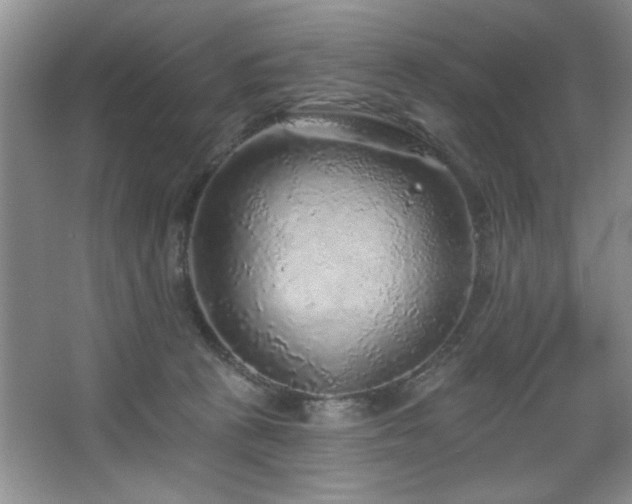 X0000067900273200604131402