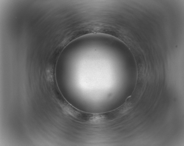 X0000067900274200604131402