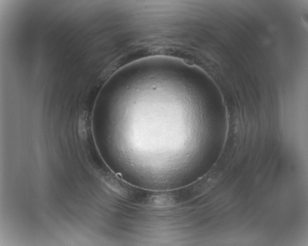 X0000067900275200604131402