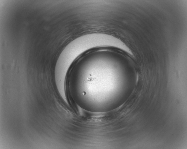 X0000067900276200604131402