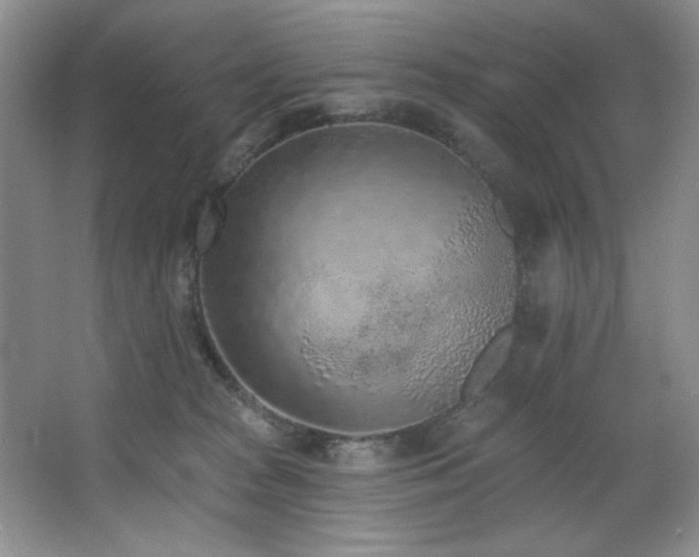 X0000067900277200604131402