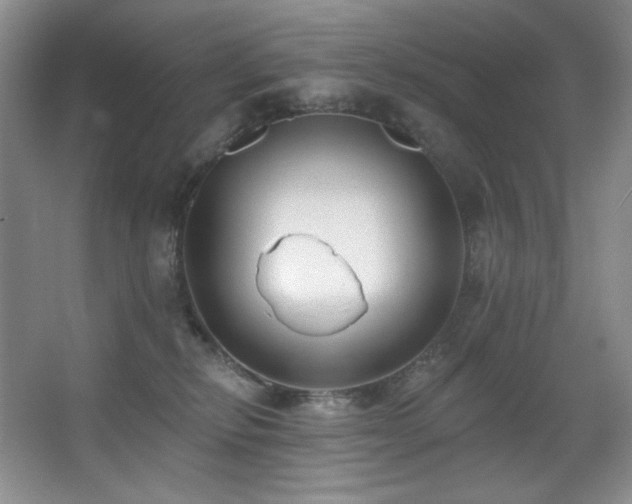 X0000067900278200604131402