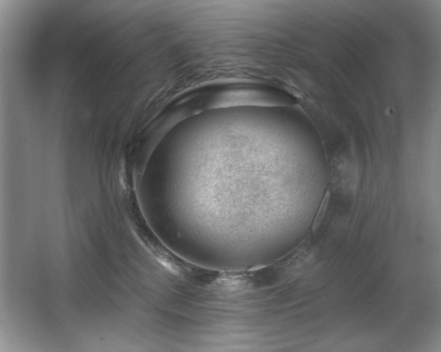 X0000067900280200604131402