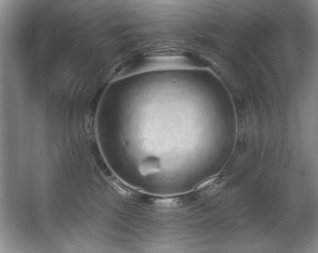 X0000067900281200604131402