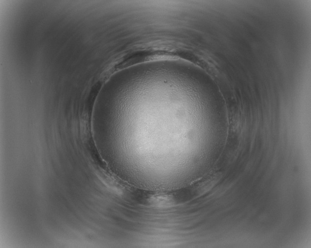 X0000067900283200604131402