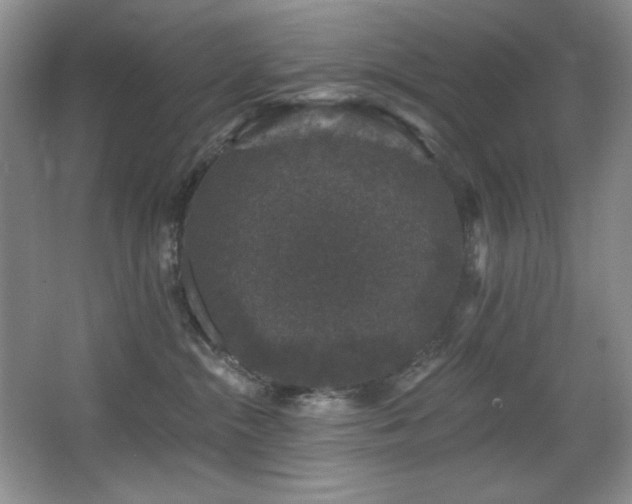 X0000067900284200604131402