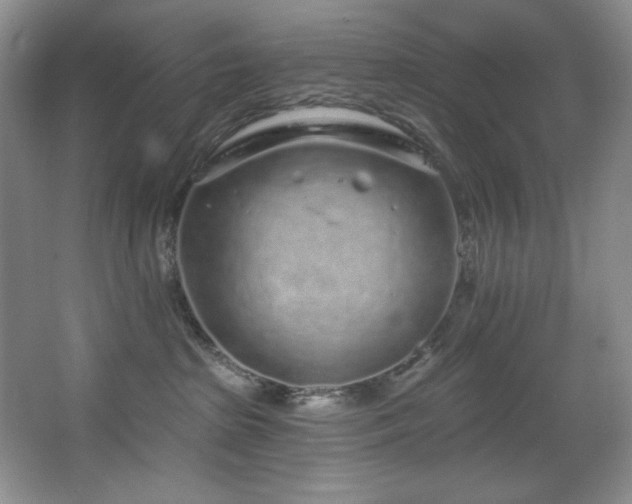 X0000067900285200604131402