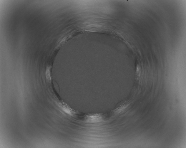 X0000067900286200604131402