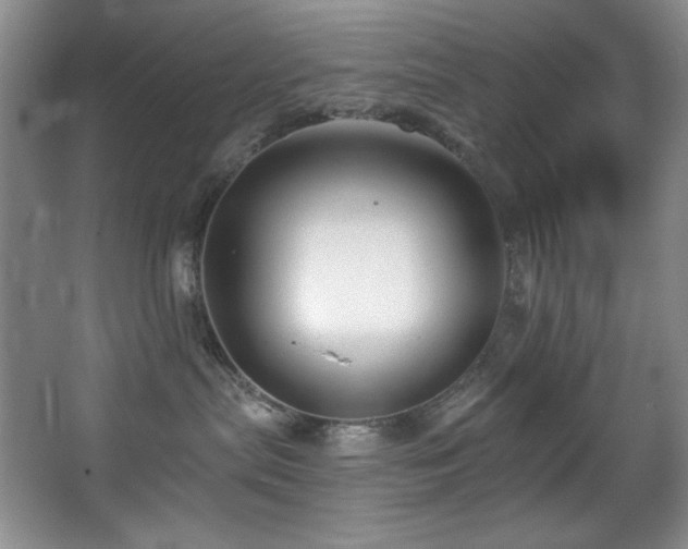 X0000067900287200604131402