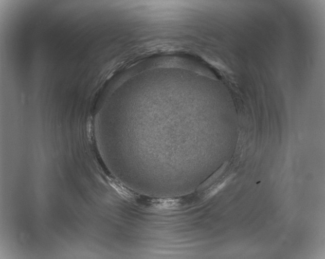 X0000067900288200604131402