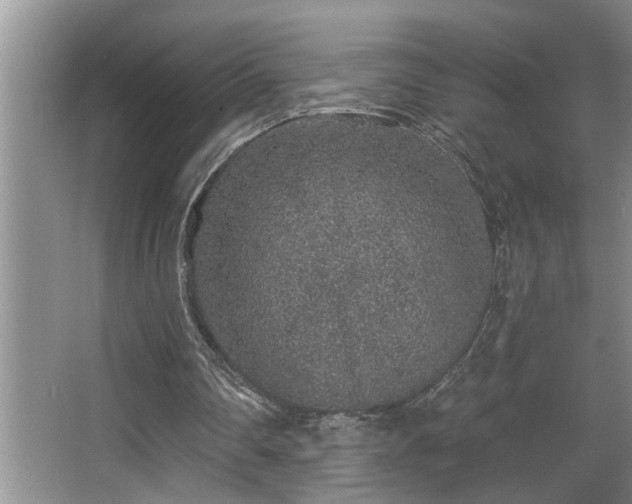 X0000067900290200604131402