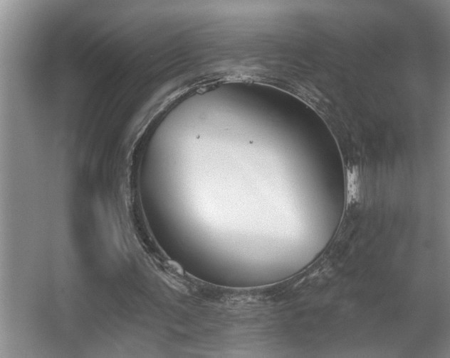 X0000067900291200604131401