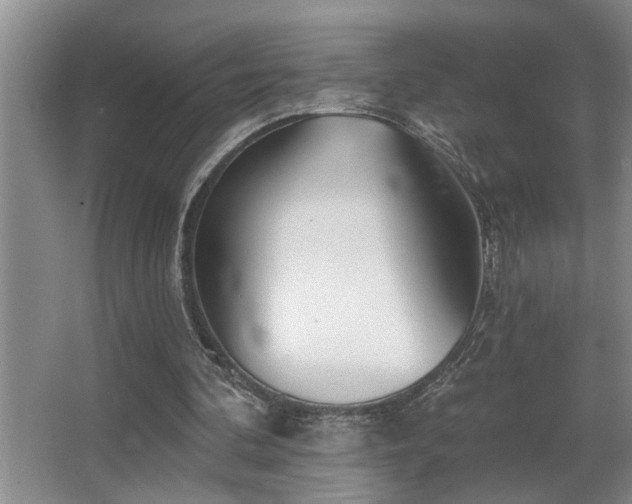 X0000067900292200604131401