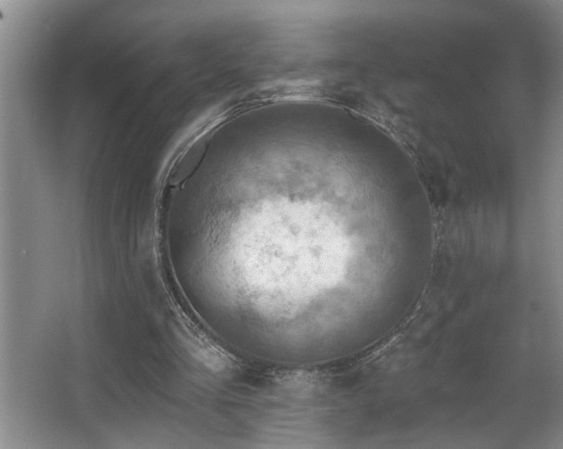 X0000067900293200604131401