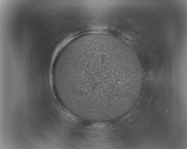 X0000067900294200604131401