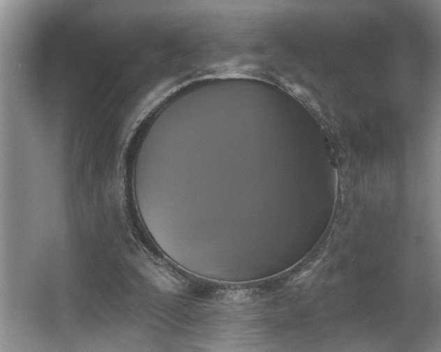 X0000067900295200604131401