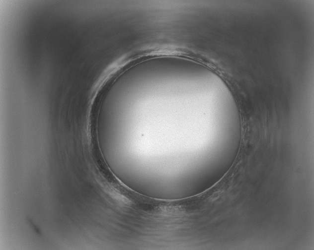 X0000067900296200604131401