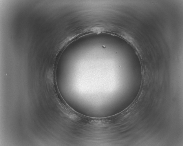 X0000067900297200604131401