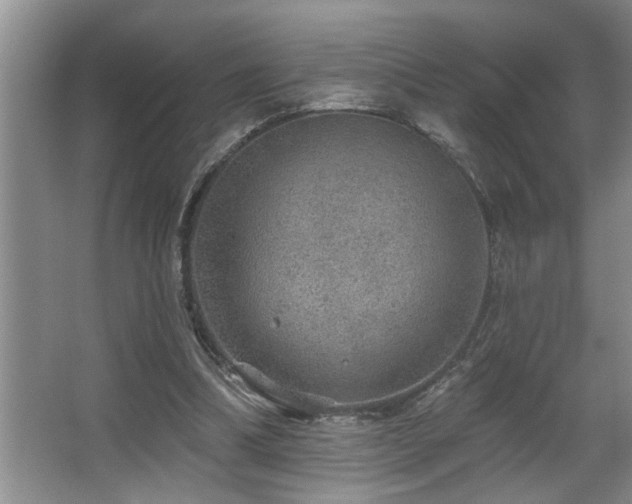 X0000067900298200604131401