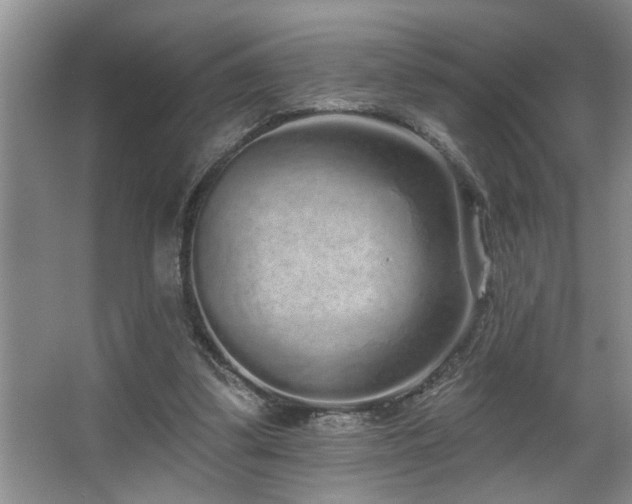 X0000067900299200604131401