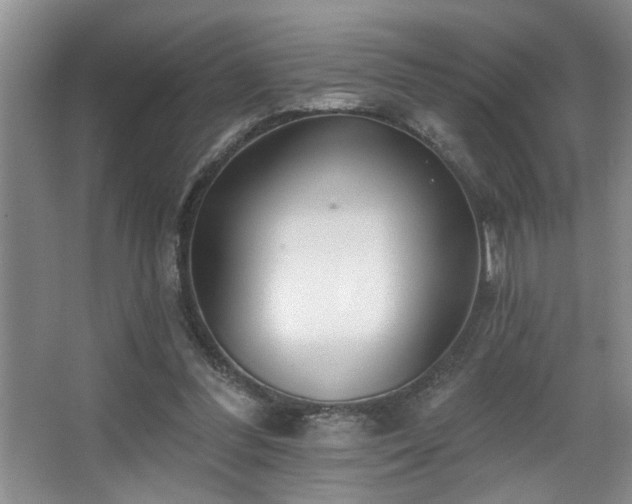 X0000067900300200604131401