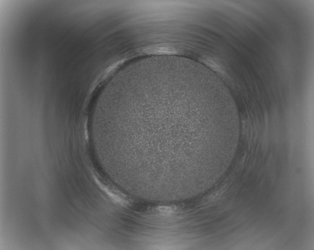 X0000067900302200604131401