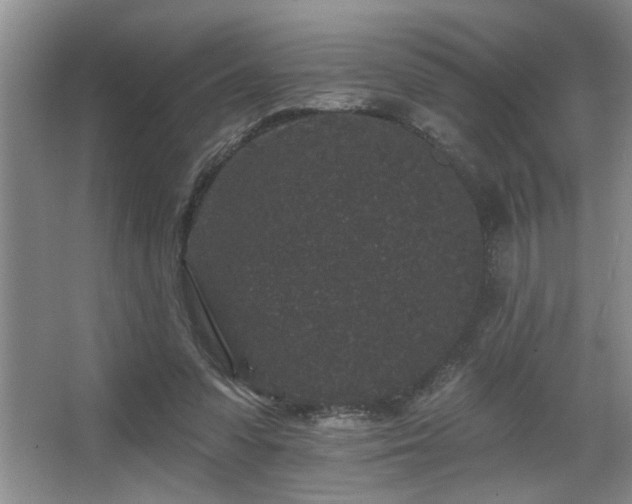 X0000067900303200604131401