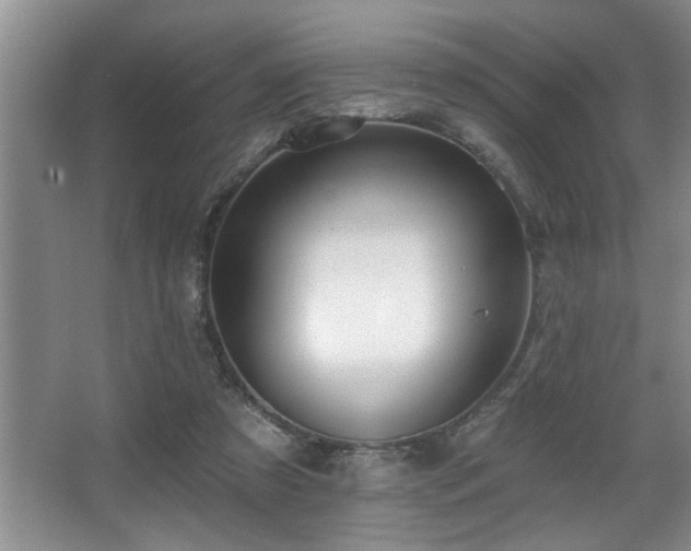 X0000067900305200604131401