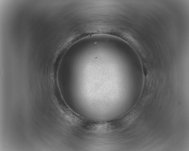 X0000067900306200604131401