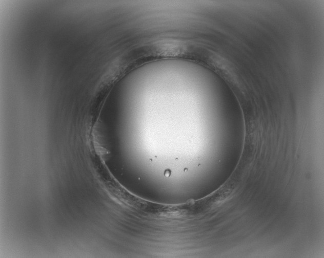 X0000067900307200604131401