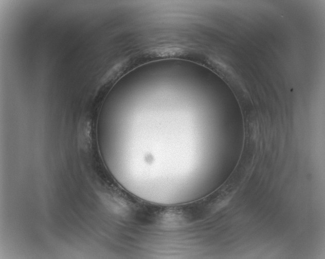 X0000067900308200604131401