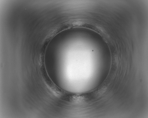 X0000067900311200604131401