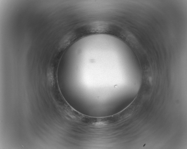 X0000067900312200604131401