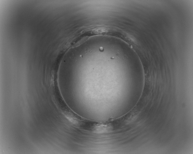 X0000067900315200604131401